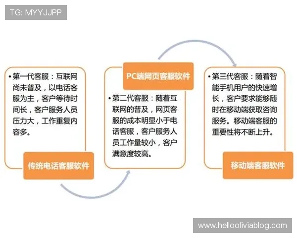 博鱼APP客服支持与反馈渠道全面介绍解决玩家疑问与建议