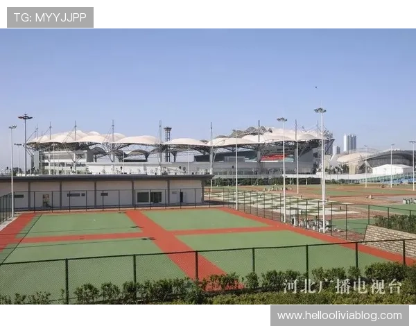 满冠体育推动体育产业融合发展，打造多元化体育生态系统的领军企业