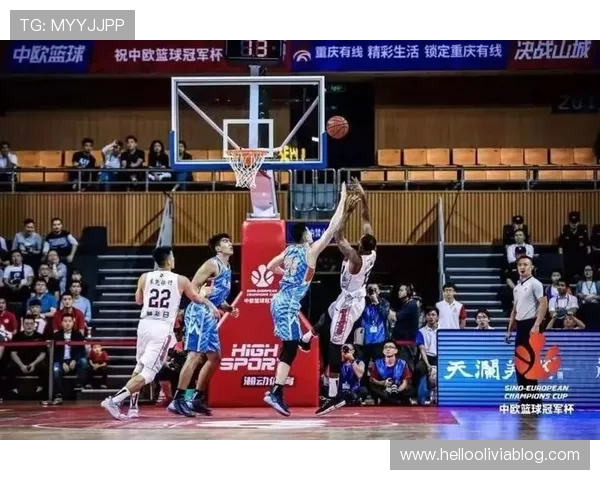 中欧体育登录入口网页版常见故障排查及技术支持，确保顺利登录观看比赛